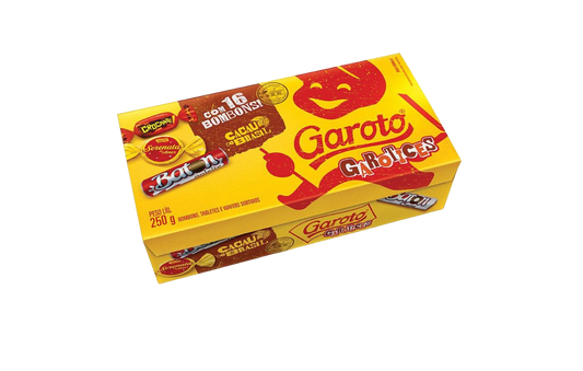 ASSORTIMENT DE CHOCOLATS GAROTO  250G